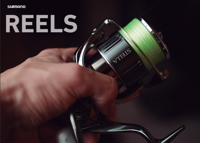 CARRETES SHIMANO